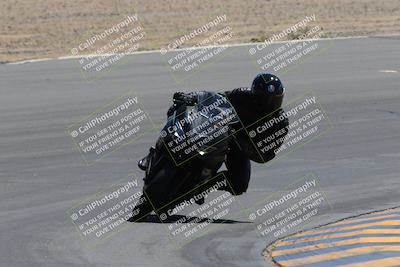 media/Apr-09-2023-SoCal Trackdays (Sun) [[333f347954]]/Turn 10 (115pm)/